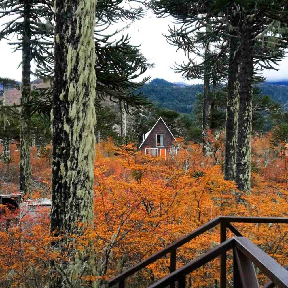 vista cabañas sendas conguillío en el parque nacional conguillío en otoño