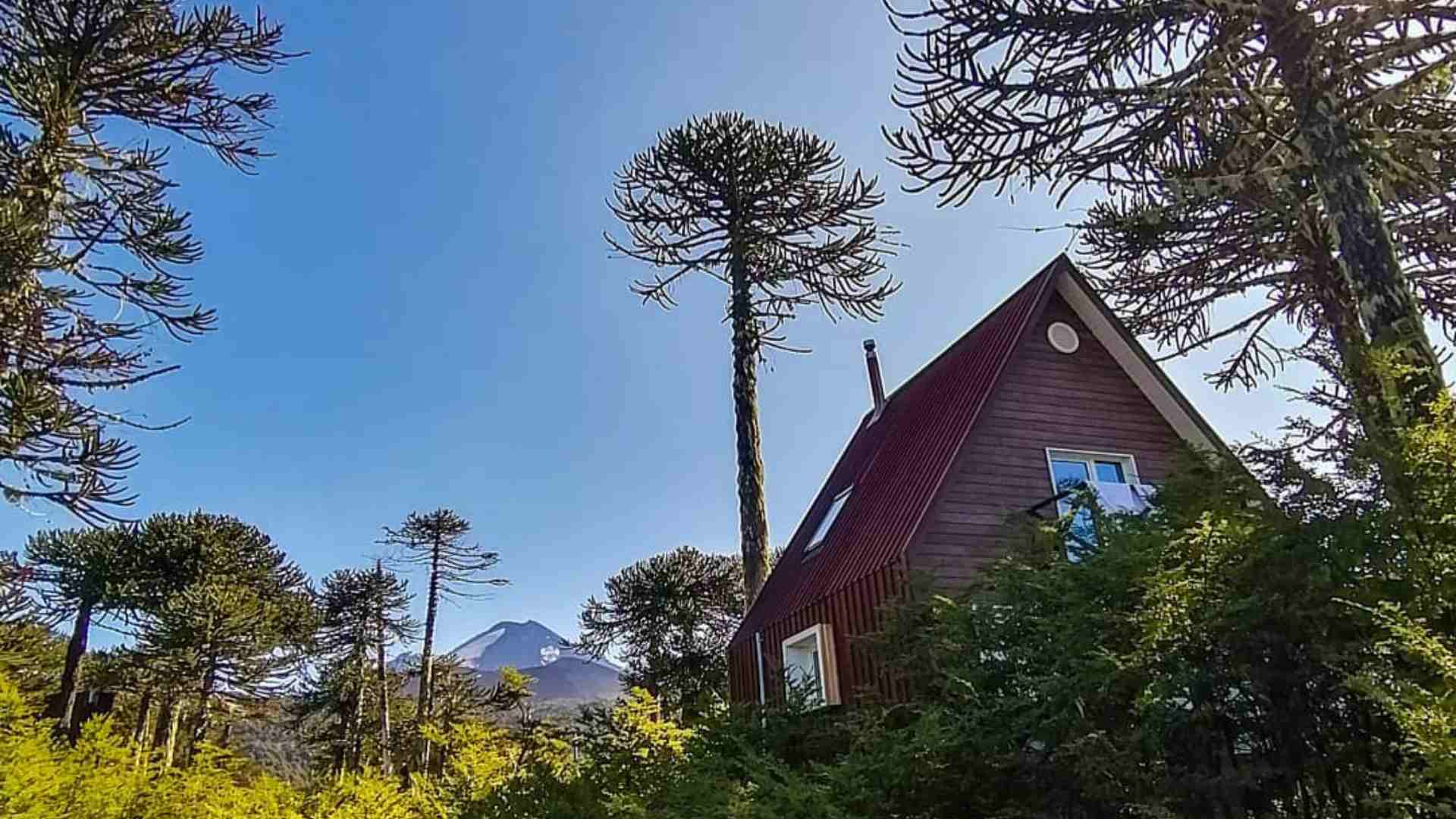 cabañas en parque nacional conguillío