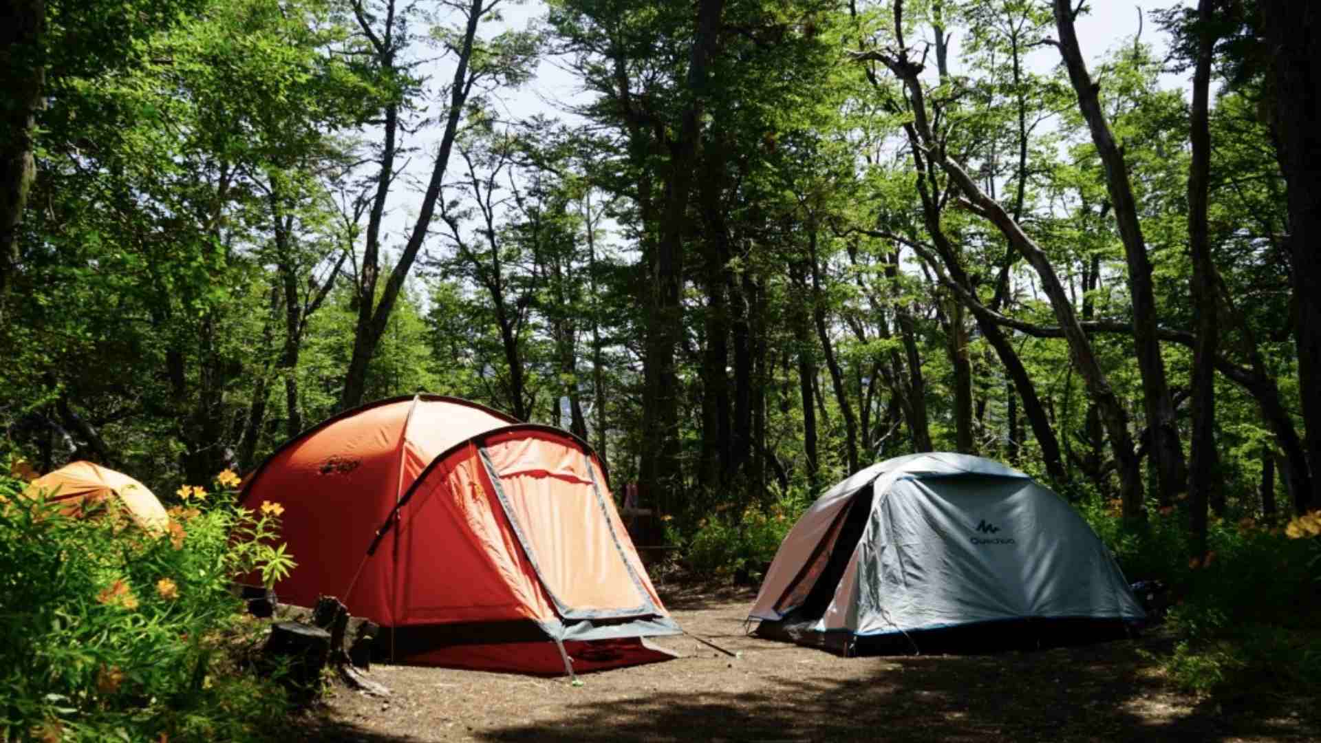 camping en el parque nacional conguillío